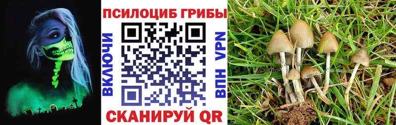 наркота  Красноярск  Псилоцибиновые грибы MAGIC MUSHROOMS 