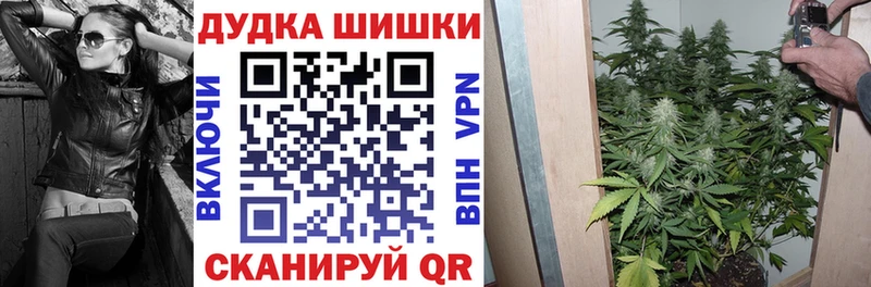 Марихуана конопля Красноярск